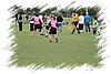 2010_11060047.JPG