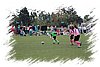 2010_11060086.JPG