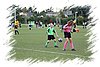 2010_11060178.JPG