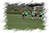 2010_11060379.JPG