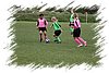 2010_11060383.JPG