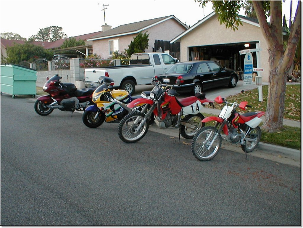 dougsmotos.jpg