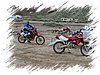 P2201525.JPG