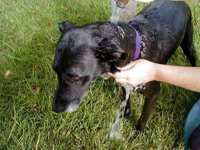 Nuts! Bath time.