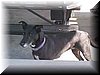 Pic-Kona.jpg